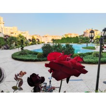  Wonderful new one-bedroom apartment in Ravda, next to the sea! 