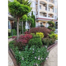  Wonderful new one-bedroom apartment in Ravda, next to the sea! 